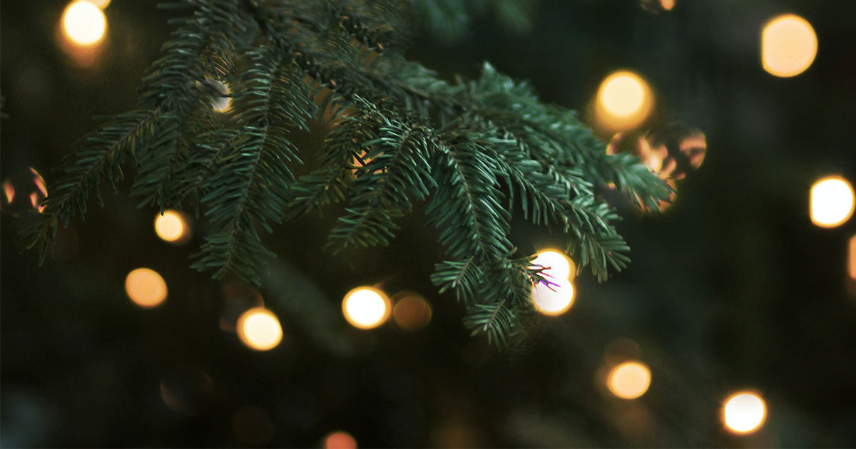En tryggere jul