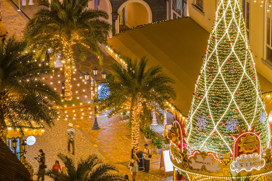 Svindel på juleferie